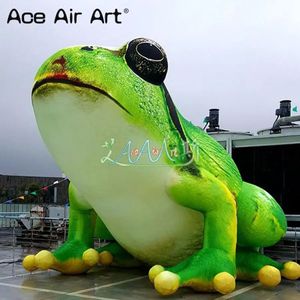 20ft length Frog Model Inflatable Decorative Frog for Promotion or Party/Creature Exhibition Hall Display