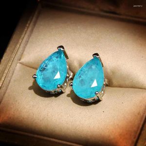 Kolczyki stadionowe klasyczne 925 Srebrne Inkrustowane Paraiba Krople szlachetne Studs Ear Studs Light Luxury Geometry Blue For Women Party Jewelry