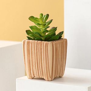 Vasos 2 PCs Decoração de Flowerpot Pots engraçados Cerâmica de pequenas plantadores de plantador