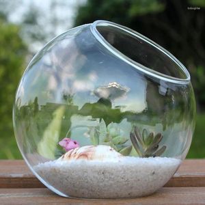 Vases Glass Ball Vase Flower Plant Pot Succulent Micro Landscape Terrarium Container Home Office Garden Decor