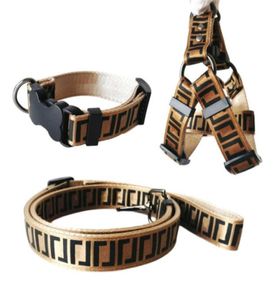 Web Celebrity Tik Tok FF Luxury Dog Collars Leases Set Designer Dog Leash Seat Belts Pet Collar and Pets Chain With For Small Med3997443