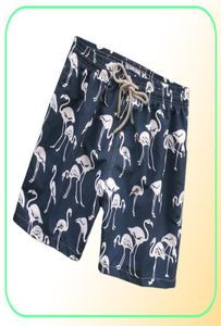 Summer Mens Swim Short Vilebrequin Bermuda Beach Clothing Turtles أحدث شورتات غير رسمية للرجال على غرار الموضة القصير 3587148