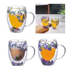 Mugs Drinkware Glass Cups With Handle Coffee Bar Double Wall For Cold And Beverages Insulated Layer Dropship