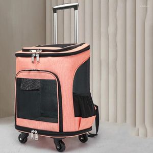 Cat Carriers Carry Rabbits Cats Transportin Animals StrollerCats Small Clear Crate Mochilas Para Gatos Accessories