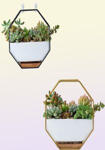 Hanging Succulent Flower Pots Ceramic Flowerpots Stand Holder Black Gold Iron Rack Bamboo Tray Desktop Geometric Cactus Planter Y29829502