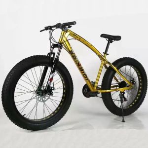21 24 Speed Sports Bicycle for Men 24 26 29 Inch Snow Bike 3 *10 Speed 24" 26" 27.5" 29" Inch Fat Tyre Mountain Cycle for Sale