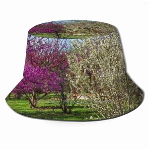 Baskar en vårsäsong hink hatt solskyddsmedel hattar botanisk bänk målare park avondale redbud
