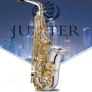 Taiwan Jupiter Alto Saxophone Jas1100SG av hög kvalitet.