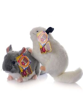 30 cm längd Mini Lifelike Chinchillidae Plush Toys Soft Realistic Chinchillas fyllda djurleksak för barn 2 Färg tillgänglig LJ20116420451