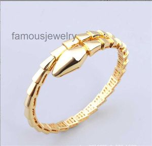 Designer Sier Torque Bangle Bamboo Bone Bracelets for Women Adjustable Serpentine Full Diamonds Bracelet 3 Colours Casual Party Gift Jewelry