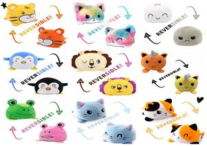 19 Style Funny Toys Cat Gato Kinder weiche Geschenk Plüsch Tiere doppelt zweifaszierte Puppen süße Spielzeug Peluches für Kinder Mädchen Cryingcat1589739