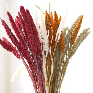 装飾的な花10pcsナチュラ小麦耳植物花束キビュレットスパイクドライグレイン穀物材料結婚式の装飾ドライホームルームの装飾