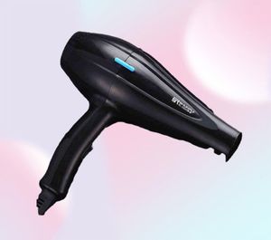 Powerful Professional Salon Hair Dryer Blow Dryer Electric Hairdryer Cold Wind with Air Collecting Nozzle D40 2112243521916