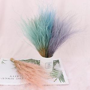 Decorative Flowers Dried Feather Grass Plant Flower Immortal Reed Pampas Mist Bouquet Eternal Glass Cover Home Wedding DIY Accessories