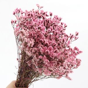 35 ~ 45 cm/ 100g verklig naturtorkad bevarad kristallgräsblomma bukett torr älskare gräs blommor arrangemang, hem bröllopsdekor