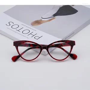 Óculos de sol enquadra Japaneses estilo acetato acetato de gato Óculos de gatos moldura para homens mulheres miopia óculos de leitura de miopia