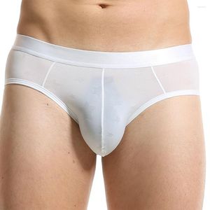 Underbyxor sexiga mäns rena trosor mesh seing thong underkläder bulge påse trosor komfort underkläder bikini elastiska knickers