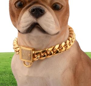 Diamond Buckle Dog Chain 14mm Pet Dog Collar Rostfritt stål Pet Gold Chain Cat Dog Collar Accessories6335179