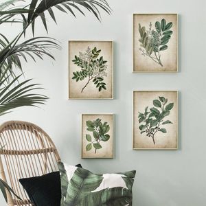 Green Plant Wall Art Prints Retro Poster Vintage Leaves Canvas Måla tryck Botanisk konstdekor Väggbild Heminredning