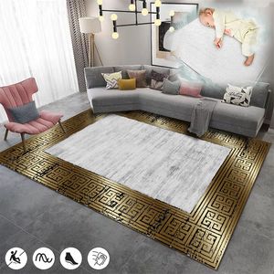 Modern Luxury Large Living Room Carpets Household Bedroom Carpet Aesthetics Bed Tail Rugs Lounge Sofas Coffee Table Area Mats