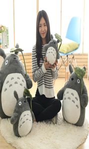 3070cm Cute Anime Girl Kids Large Size Soft Pillow Totoro Plush Toy Doll Children Birthday Gift Cartoon Home6883963