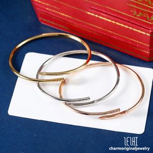 Dünnes Nagelarmband Designer für Frauen Herren Gold Armband Nagelarmband Designer Schmuck für Männer Gold Armreif für Frauen Armreif Armbänder für Frauen Edelstahl