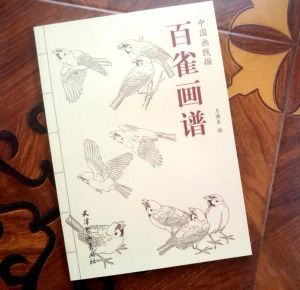 Поставляет китайский рисовать водяные чернила сотня птичьих набросок кисти чернил татуировку татуировки