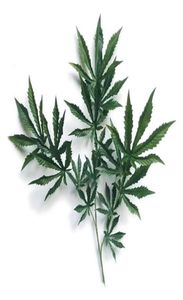 Fake Plants 1pcs Cannabi Plant And Leaves Artificial For Home Decor Decorative Flowers Wreaths293R8264135