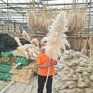 Wholesale 10pcs Boho Wedding Decor Large Plume Dry Pampas Grass Flower Decor Natural Real Preserved Dried Pampas For Home Decor 240409
