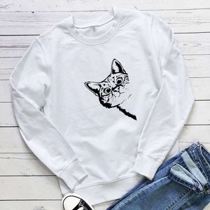 Designerinnen Frauen Hoodies Sweatshirts Heiße und süße Katzendruck 2021 Herbst/Winter Runde Hals Langarmed Hoodie