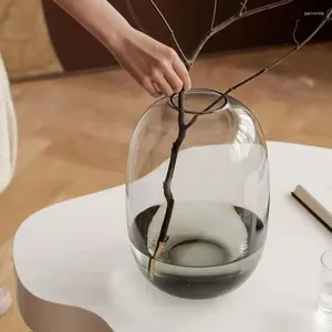 Vase Micro Landscape Ecological Vase Large Belly Glassシンプルで古典的な楕円形の小さな口のサンプルルームの花の花