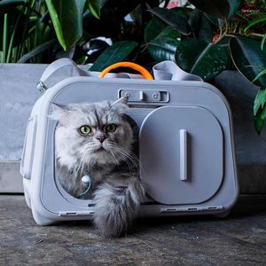 Kedi Taşıyıcılar Pet Termo Higometre Ekran Torba Taşınabilir Büyük Kapasite Alan Kafesi Yüksek Görünüm Küçük Köpek Sırt Çantası