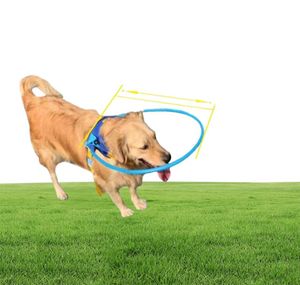 Köpek yakaları taslaklar evcil hayvanlar için güvenli halo kablo demeti kör evcil hayvan antikolülasyonu yüzüğü akrep katarakt hayvan koruma rehberi4370240