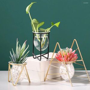 Vases Glass Containers Household Hydroponic Plant Nordic Art Retro Home Garden Crafts Decorations