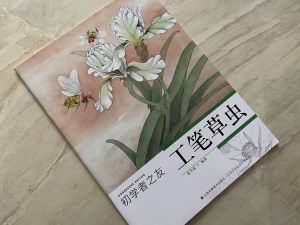 Supplimentos 1pc Pintura chinesa Pintura chinesa Gongbi Tecniques de flores de insetos Tecniques de tatuagem Livro de referência