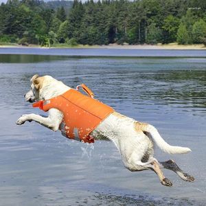 Aparel de cães Nada com jaqueta salva -vidas e surf para cães para cães reflexivos flutuabilidade Prevenção de afogamento