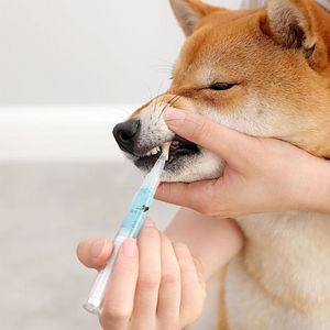 Pet Diş Temizleme Kalem Dental Hesap Temizleme Seti Pet Güzellik Diş Fırçası Köpek ve Kedi Taşınabilir Bakım Araçları Aksesuarlar