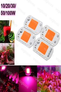 Light Beads Full Spectrum 380840NM 110V 220V 20W 30W 50W COB Chip Lighting AccessoriesFor LED Grown Lights EUB8458067