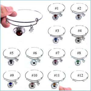 Charm Bracelets Birthstone Bracelet For Women Fashion Jewelry Gift Steel Wire Cuff Bangle Wish Do Come True Cute Made With Dhgarden Dhctk
