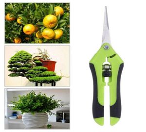 Ferramentas de jardim Secateurs Bonsai Shears Tercenaria Metal Gardening Scissor Tool Tool Hand Cutter Uva colheita de frutas em casa