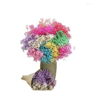 Dekorativa blommor som inte är olika färger Torkade Baby's Breath Flower för heminredning Bröllopsarrangemang Ikebana