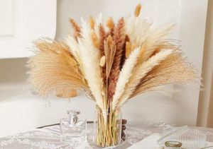 80 pezzi Pampas essiccata decorazione secca naturale marrone bianco pomposo pomposo bunny code di coniglietto reed boho home wedding fiore composizione 5357131