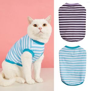 Abbigliamento per cani estate vestiti freddi moda VIP POMERANIAN PEDEDDY CATTO PET CATTO CATTO