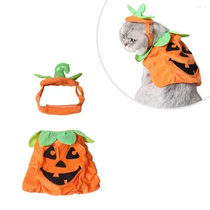 Vestuário para cães 1 figurino de roupa de pelúcia de abóbora laranja roupas de roupa de cabeça ajustável POP PO POP para cachorro gatinho de gato