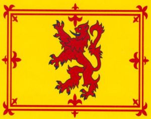 Szkocja Lion Flaga Royal Flag 3 stopy x 5 stóp poliestru Latający 150 90 cm Flaga niestandardowa Outdoor5467404