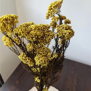 Dekorativa blommor 50 g naturlig hir frukt torkad blomma gåvor för kvinnor juldekorationer 2024bridal bröllop bukett pampas gräs