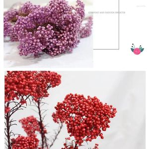 Dekoratif Çiçekler 50G Doğal Darı Meyve Kurutulmuş Çiçek Ev için Noel Dekorasyonları 2024 Cadılar Bayramı Yapay Sonbahar Dekorasyon