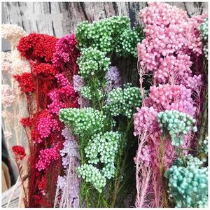 Flores decorativas 50g de molho natural frutas de flores secas de flores artificiais de Natal com noiva do casamento brasil