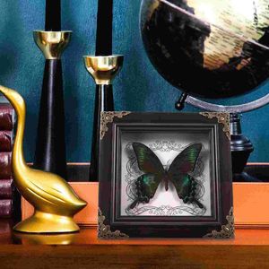 Frames Butterfly Specimen Po Frame DIY Display Wall Hanging Shelf For Collectibles Wall-mounted Acrylic Office