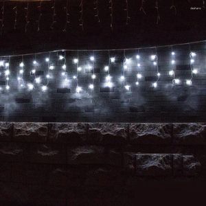 Украшение вечеринки 3mx1m 144 Светодиоды со спектакли снегопад висящий занавес в струнный занавес